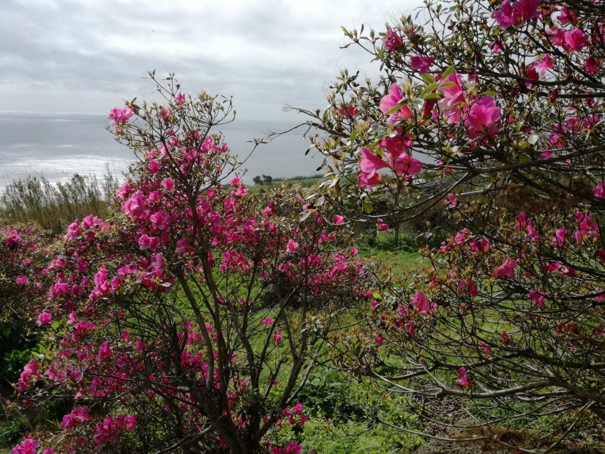 Quinta Do Sol Poente Villa Feteiras Kültér fotó