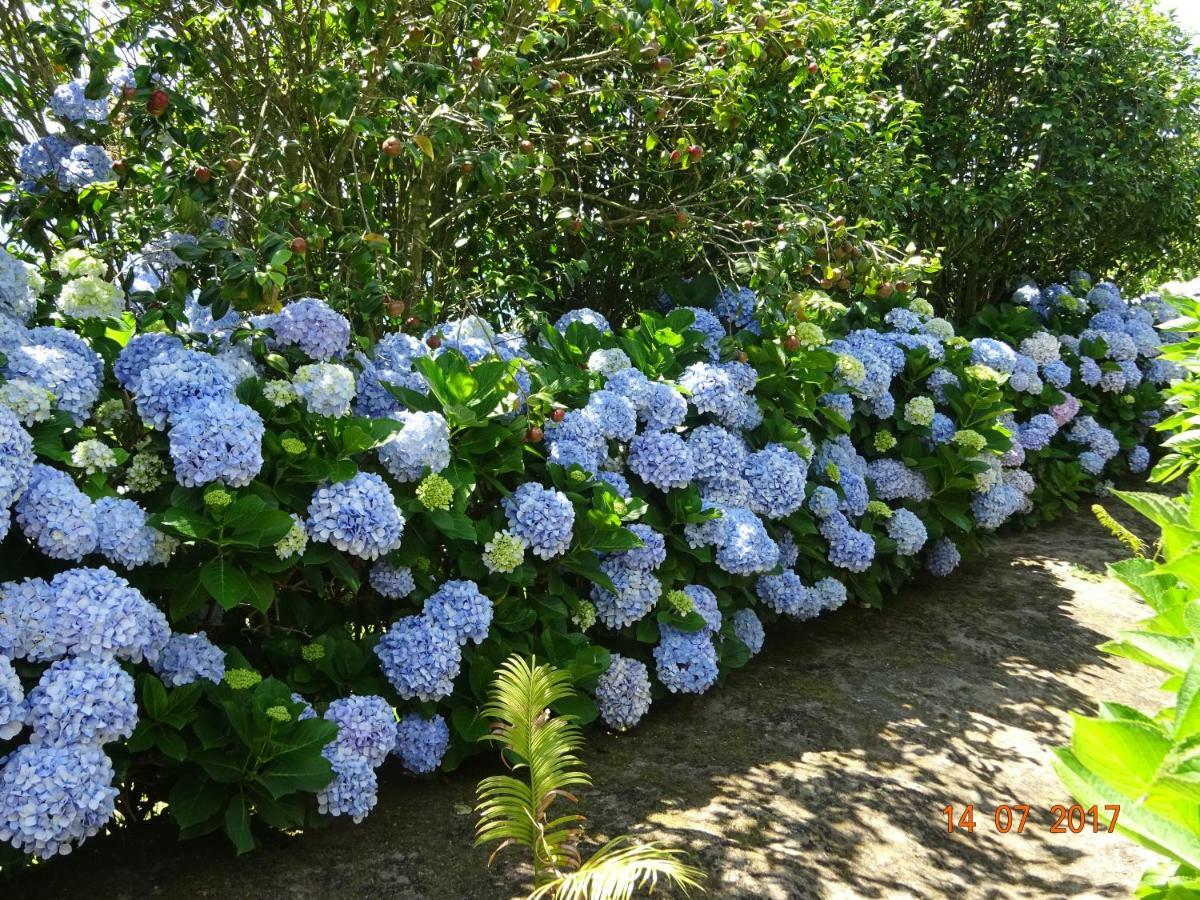 Quinta Do Sol Poente Villa Feteiras Kültér fotó